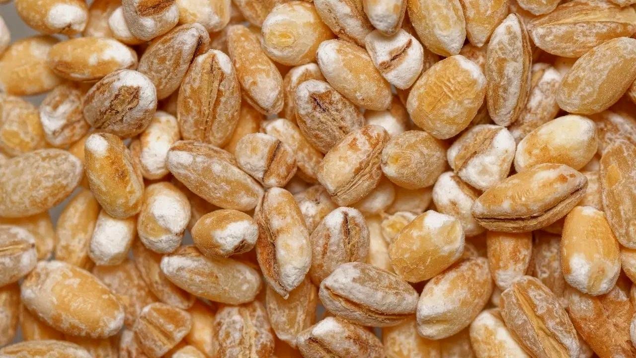 Eski Tahıllar Sağlıklı mı? - Iptidai